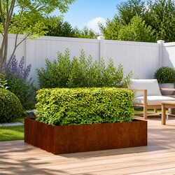 Reliable Raised Garden Planter Box 100x100x30cm with Weathering Steel