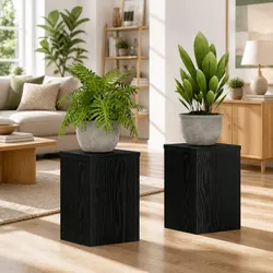 Practical Black Plant Stands - Elegant and Functional