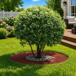 Reliable Tree Ring Protection for Your Outdoor Space 30/60 cm