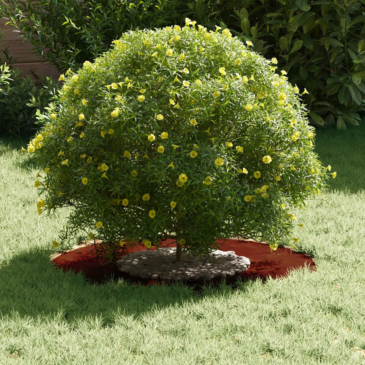 Decorative Tree Ring Set Flat Brown Diameter 30/60cm 5 Piece Garden Protective Outdoor Landscaping
