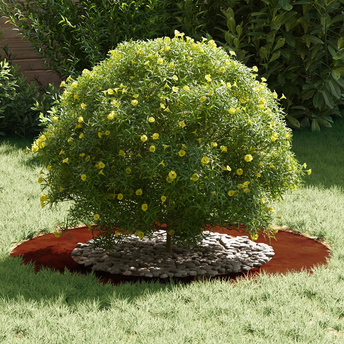 Tree Ring Decorative Edging 50cm 80cm Brown 5 Pieces Garden Outdoor Lawn Protective