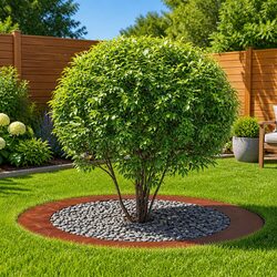 Value and Practicality in a 5-Piece Tree Ring Set Brown