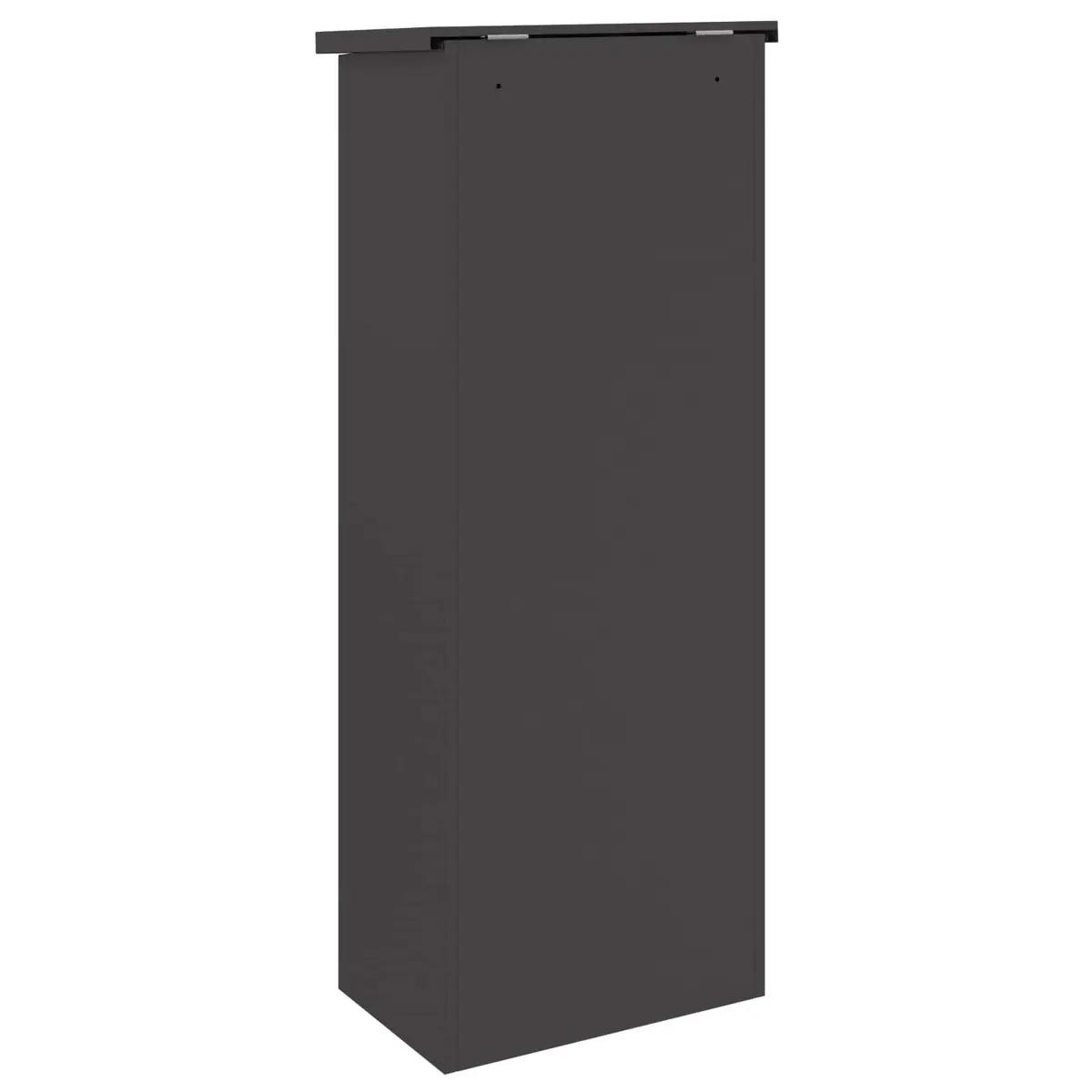 Parcel Drop Box Outdoor Storage Steel Black Hinged Doors