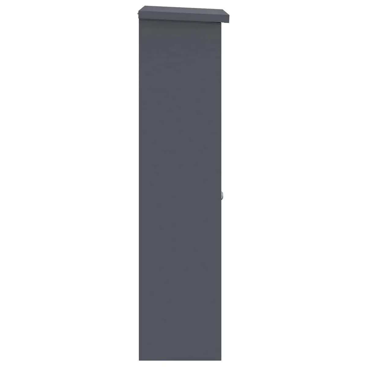Parcel Drop Box Outdoor Steel 44.5 x 29 x 110.5 cm Anthracite