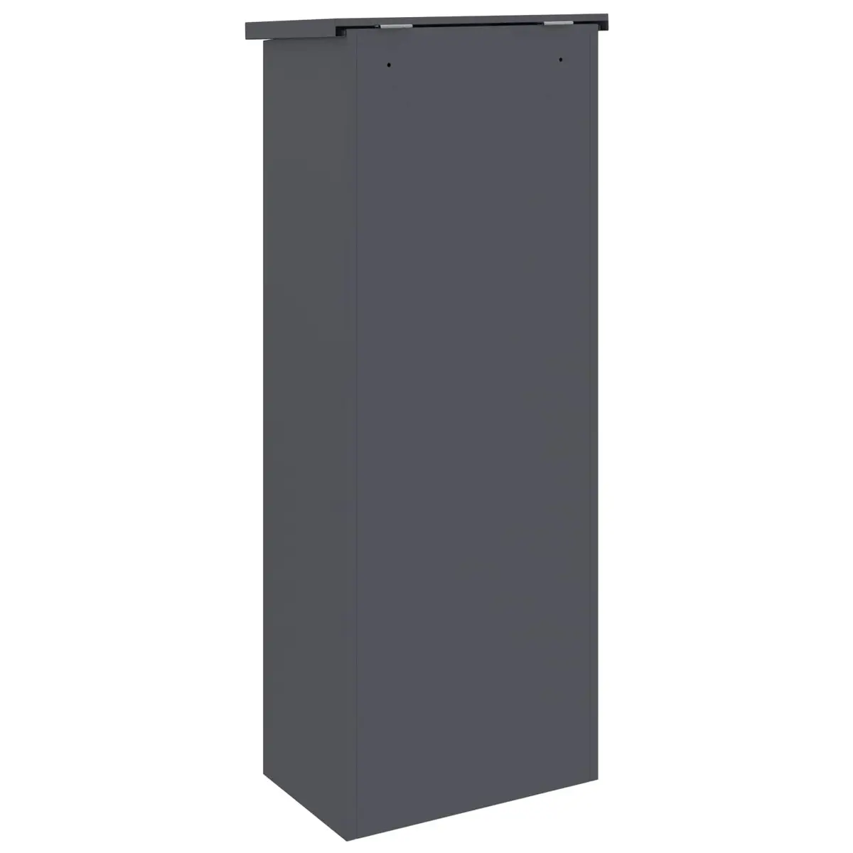Parcel Drop Box Outdoor Steel 44.5 x 29 x 110.5 cm Anthracite