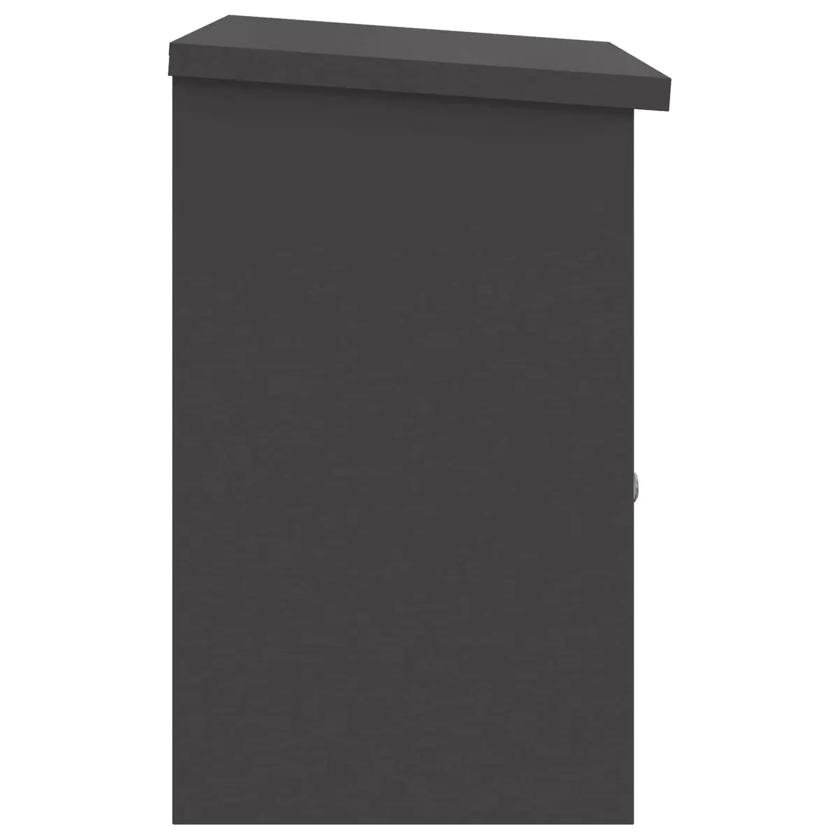 Parcel Drop Box Outdoor Mailbox Black 47.5 x 38 x 59 cm Steel