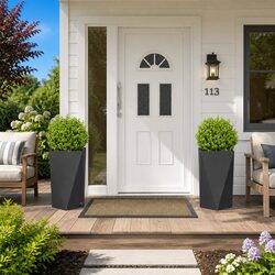 2 Black Steel Planters - Durable, Stylish, and Easy to Maintain