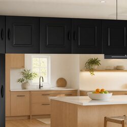 Reliable Black Engineered Wood Cabinet for Kitchens
