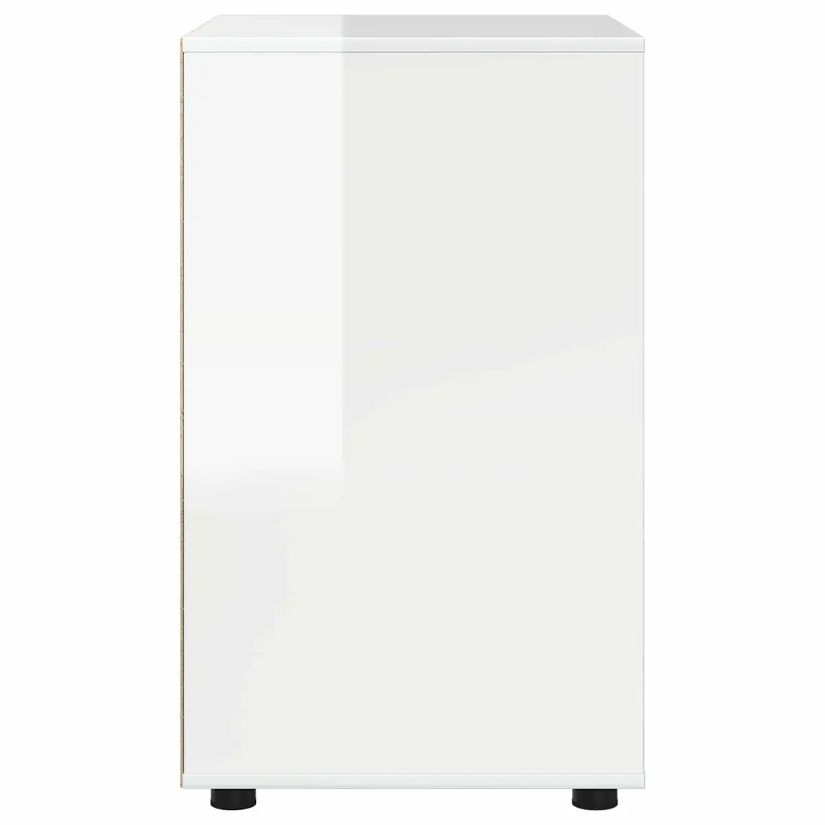 Storage Cabinet Organizer High Gloss White 60 x 48 x 81 cm