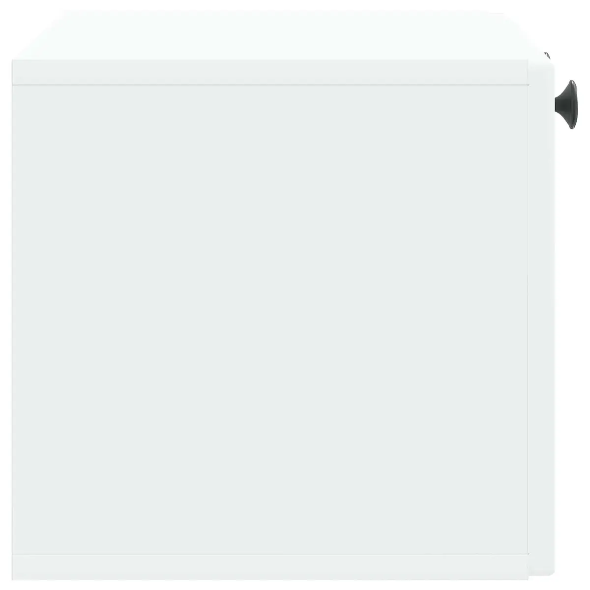 Wall-Mounted TV Cabinet Storage Unit White 59.5 x 31 x 30 cm