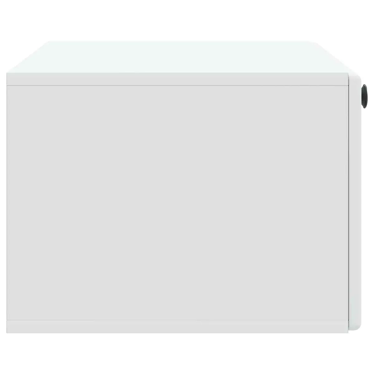 Wall-Mounted TV Cabinet in White Finish