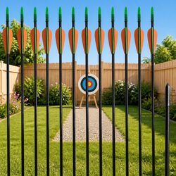 Recurve Bow Arrows 30" Fiberglass 12 Pieces Set Archery Shooting Multicolour