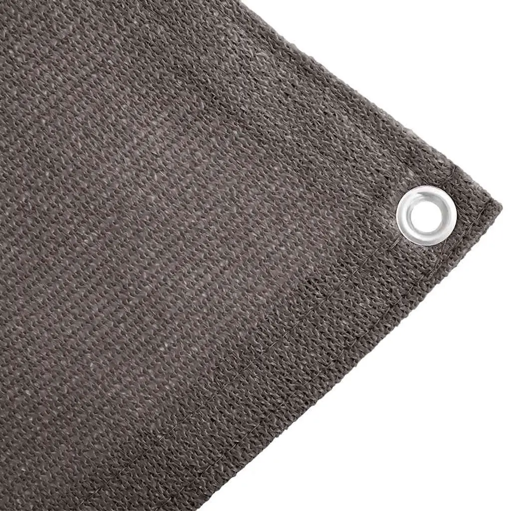 Tent Carpet Ground Sheet 250x500 cm Anthracite Outdoor Camping Rug