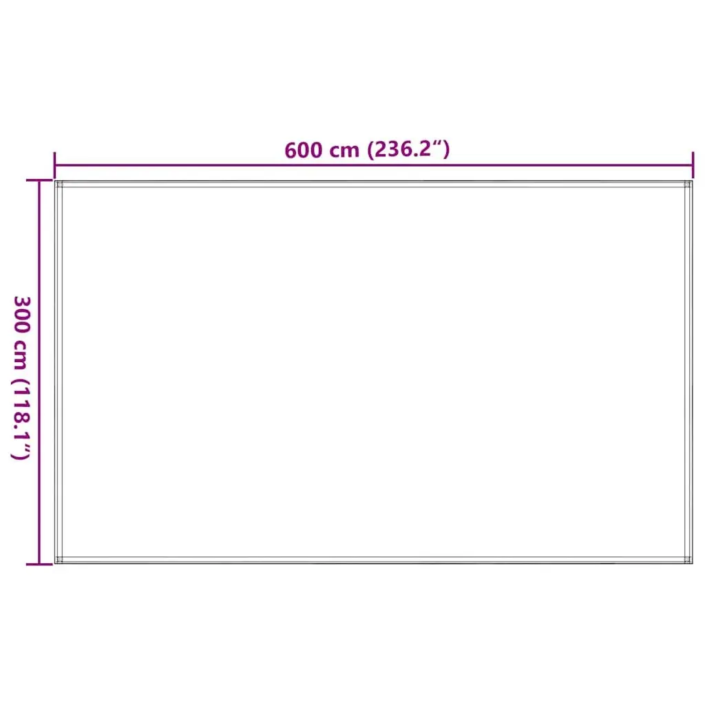 Tent Carpet Outdoor Camping Ground Sheet 300x600 cm Anthracite