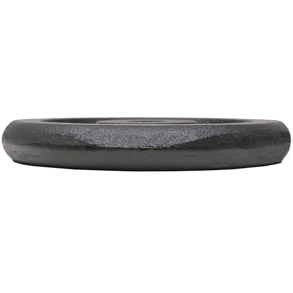 Cast Iron Weight Plates 5kg Each Strength Training Home Gym Black 4 Piece