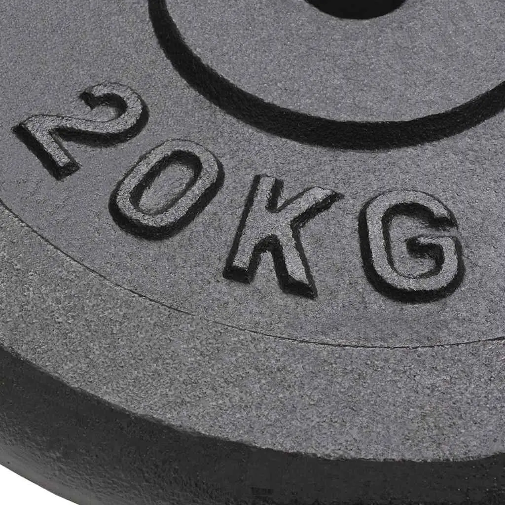 Weight Plates 20 kg Cast Iron for Barbell Dumbbell Home Gym Fitness Training 2 Piece Black
