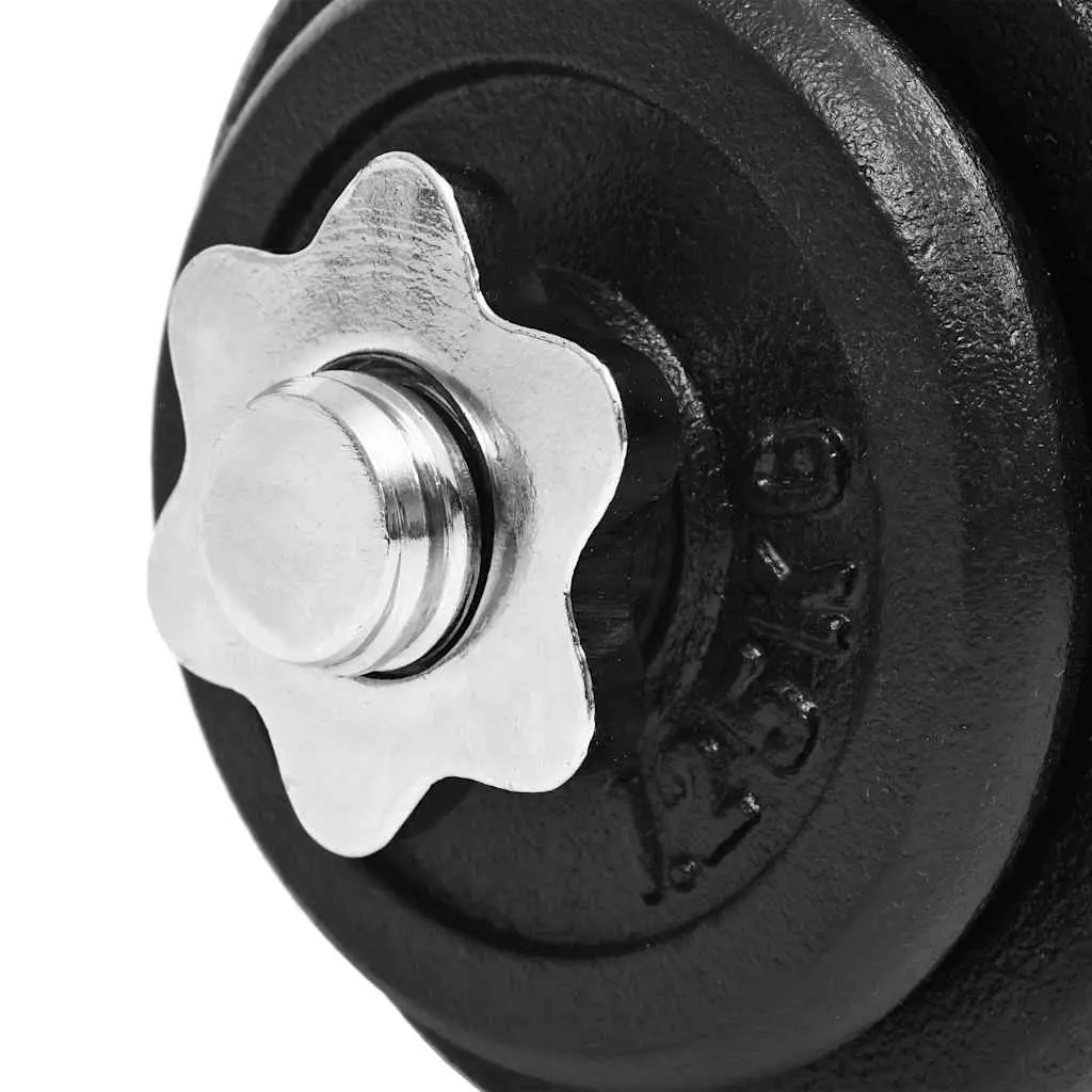 Dumbbell Set Strength Training 30kg Adjustable Cast Iron Weight Plates Black