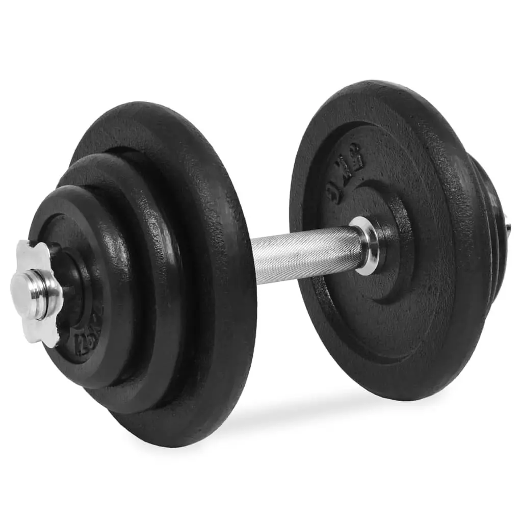 Dumbbell Set 40kg Strength Training Cast Iron Weight Plates Home Gym