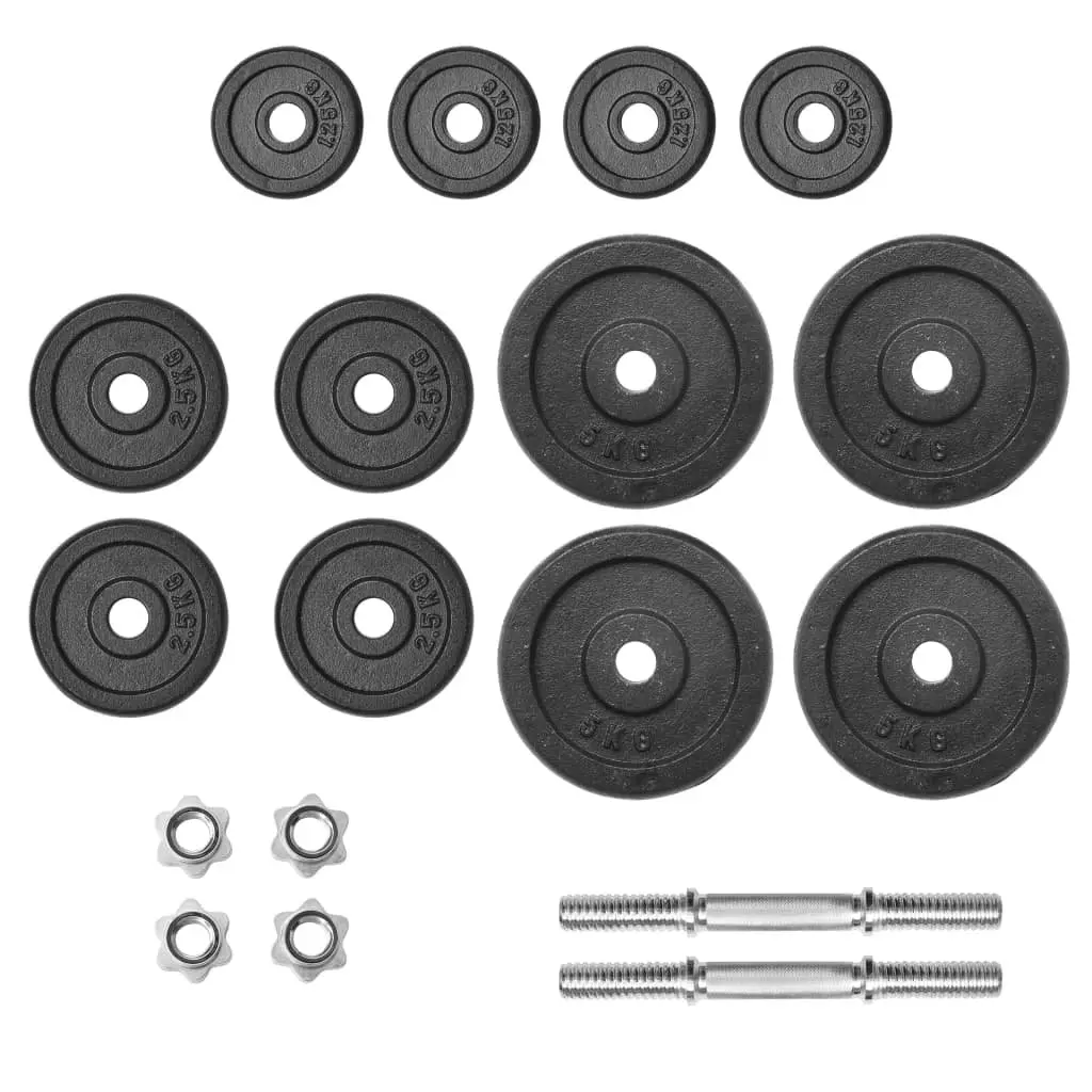 Dumbbell Set 40kg Strength Training Cast Iron Weight Plates Home Gym