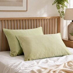 Soft and Hypoallergenic Mulberry Silk Pillowcase Set 51x76cm