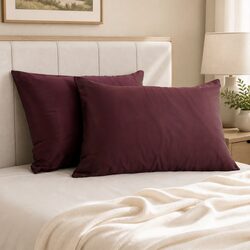 Warm and Practical Mulberry Silk Pillowcase Twin Pack