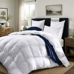 Cozy Duck Down Quilt for Year-Round Use - Queen Size