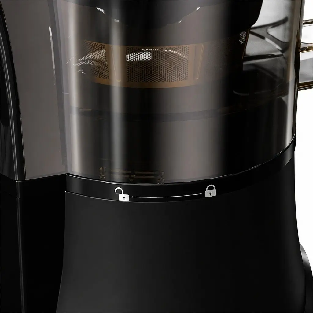 Cold Press Juicer Whole Fruit Vegetable Juice Extractor 200W Black