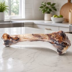 Reassuringly Natural Lamb Bone Chew for Dogs