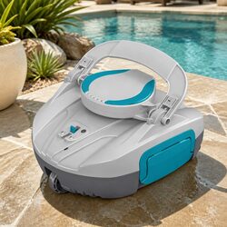 Value and Practicality in a Robotic Pool Cleaner