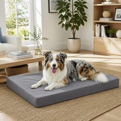 Comforting Orthopedic Dog Bed for Your Best Friend