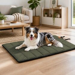 Practical Outdoor Dog Bed: Comfort Meets Functionality