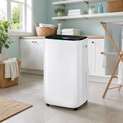 Reliable 20L/Day Dehumidifier for Peace of Mind