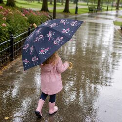 Pegasus Constellations Colour Changing Umbrella Kids Rainy Day Protection