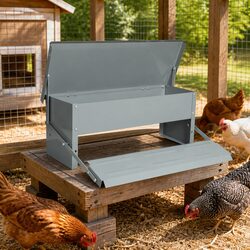 Automatic Chicken Feeder 10KG Large Capacity Timed Feed Dispenser Poultry Bantam