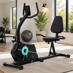 Reliable Recumbent Bike for Everyday Use