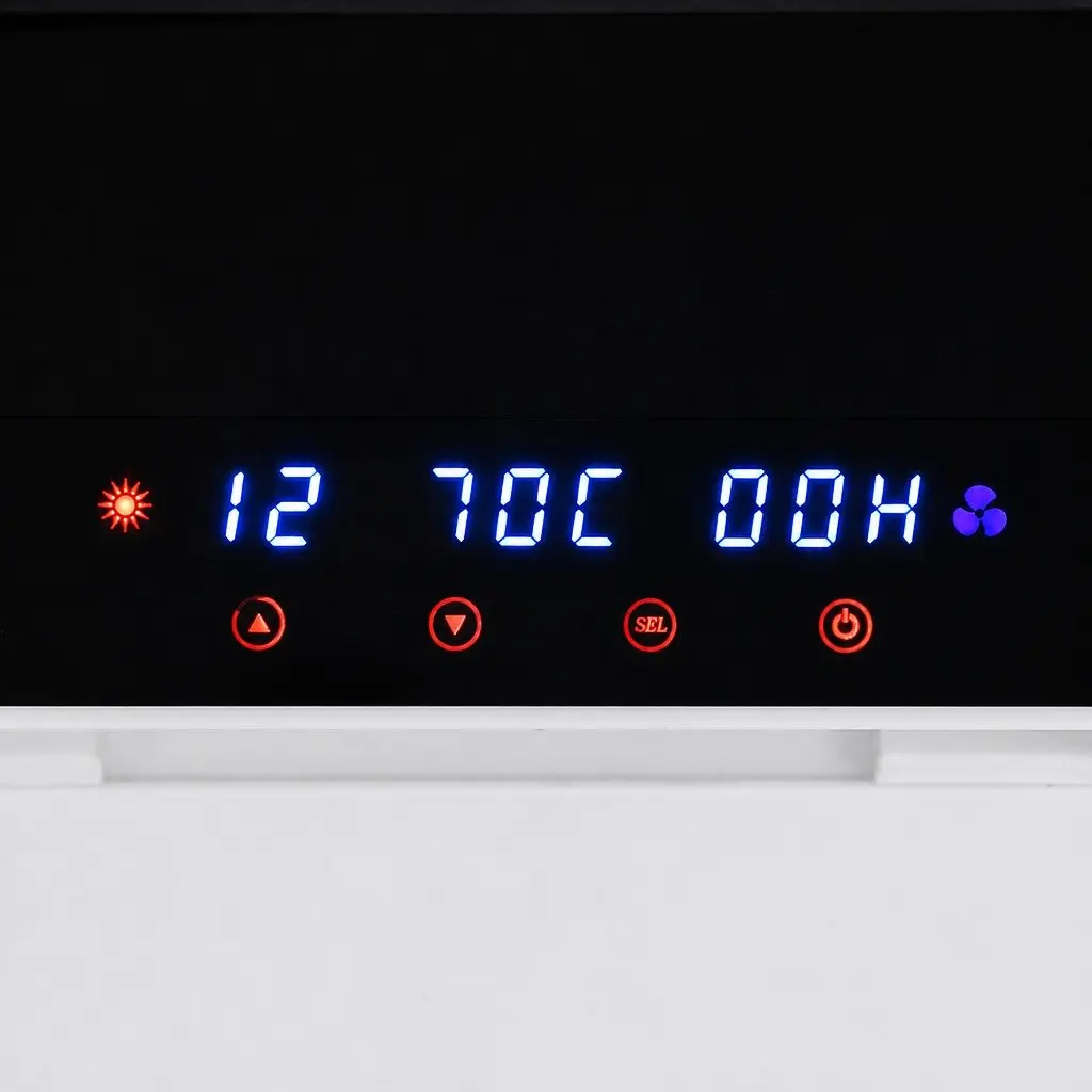 Food Dehydrator 10 Tray Removable Drying Machine for Fruits Vegetables Herbs Meat Black