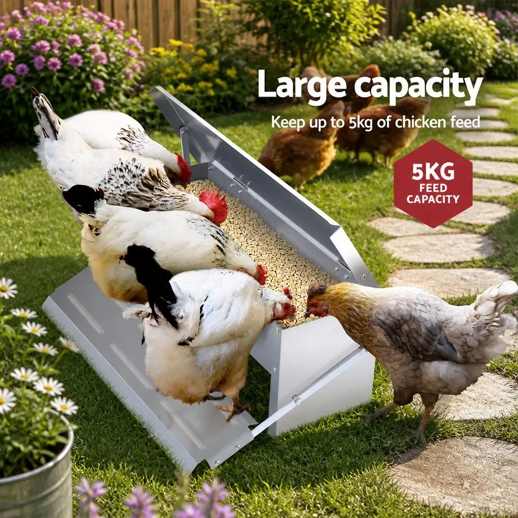Automatic Chicken Feeder Silver Galvanized Steel Weight Operated 5KG for Poultry