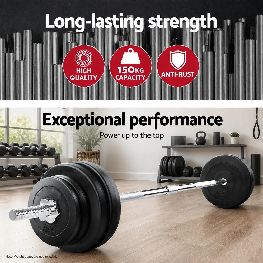 Barbell Bar 168cm 5.5FT Steel Weight Lifting Rod Home Gym Exercise Silver