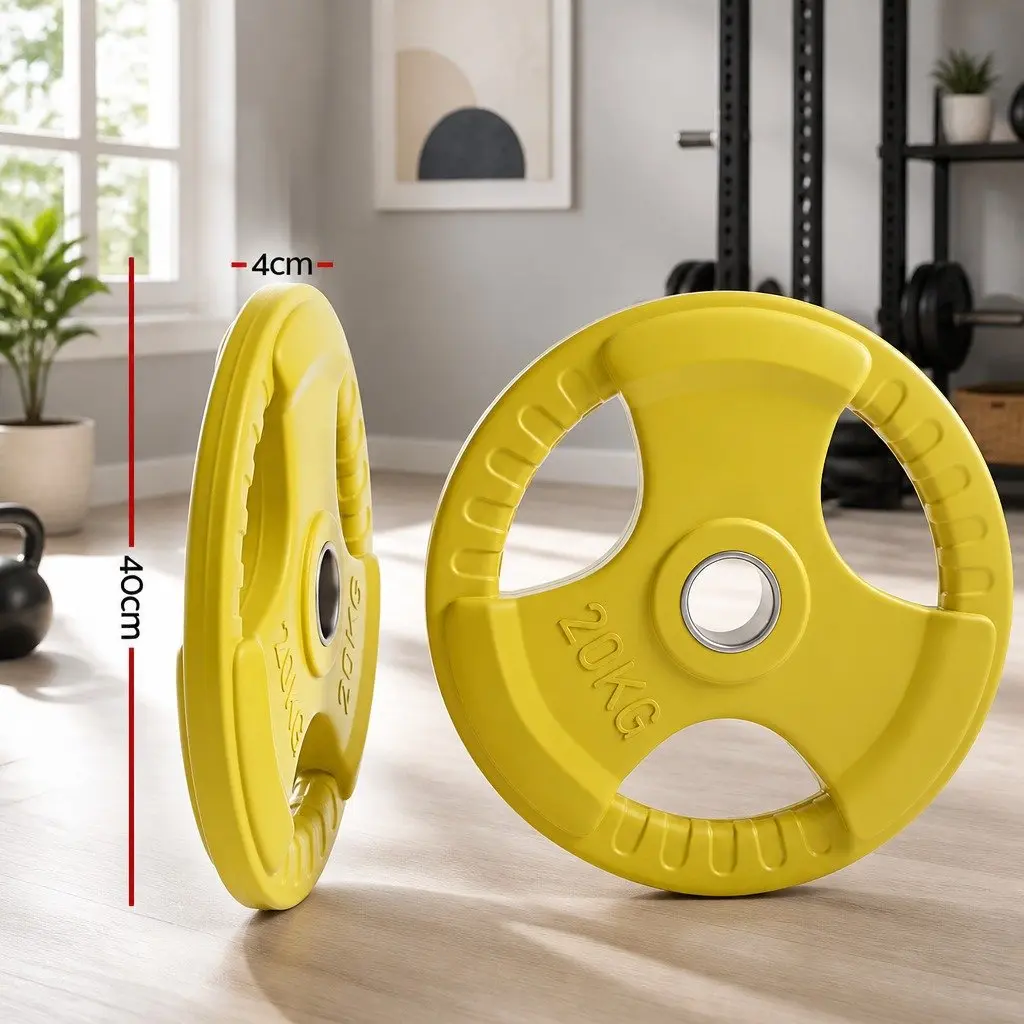 Cast Iron Weight Plates 20kg Pair for Dumbbell Barbell Home Gym Lifting Yellow