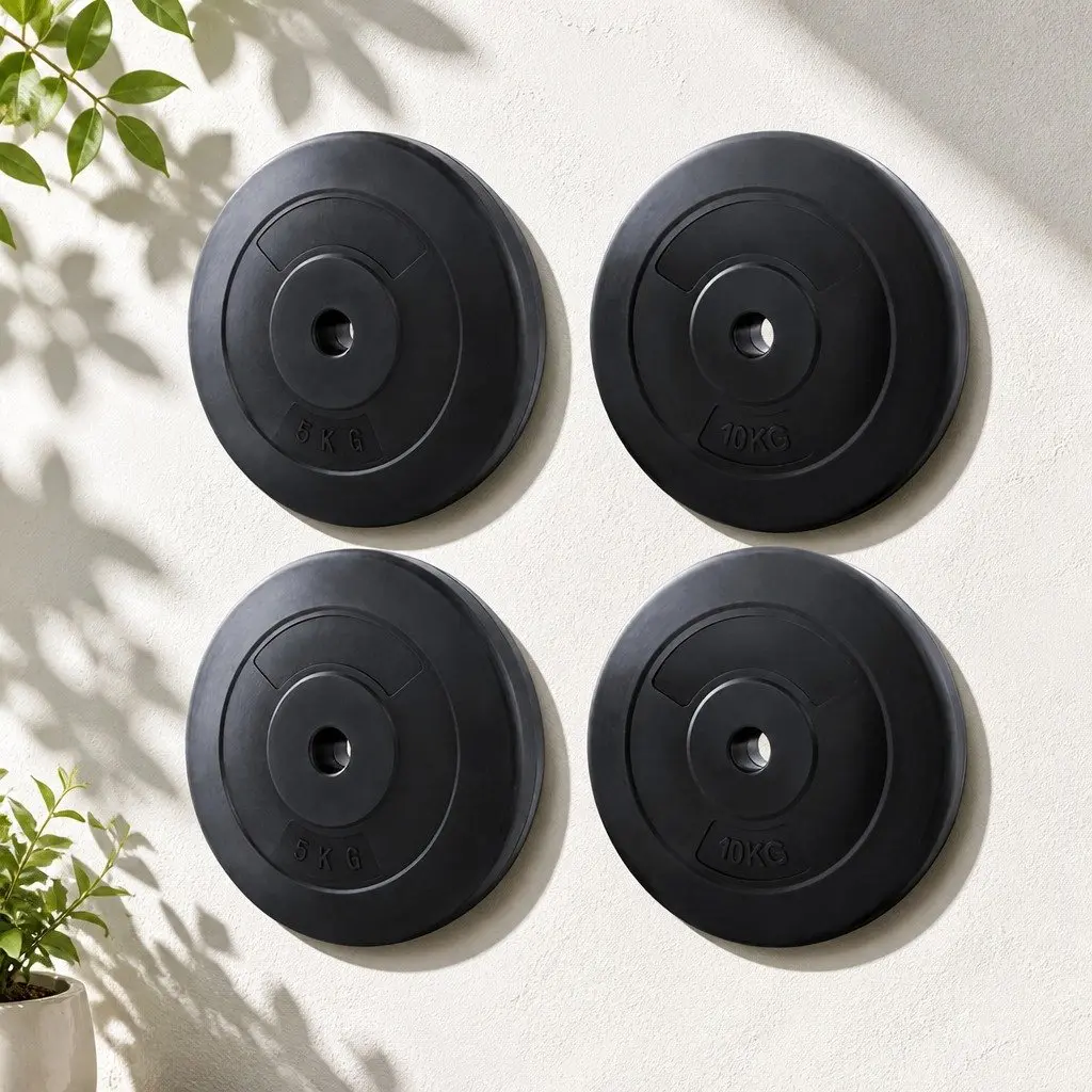 30kg Barbell Weight Plates for Home Use
