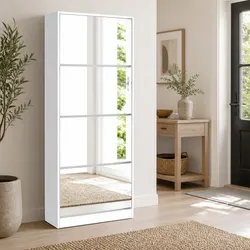 Reassuring Shoe Rack Cabinet for Your Home