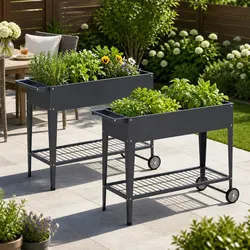 Two Elevated Garden Beds for Convenient Gardening