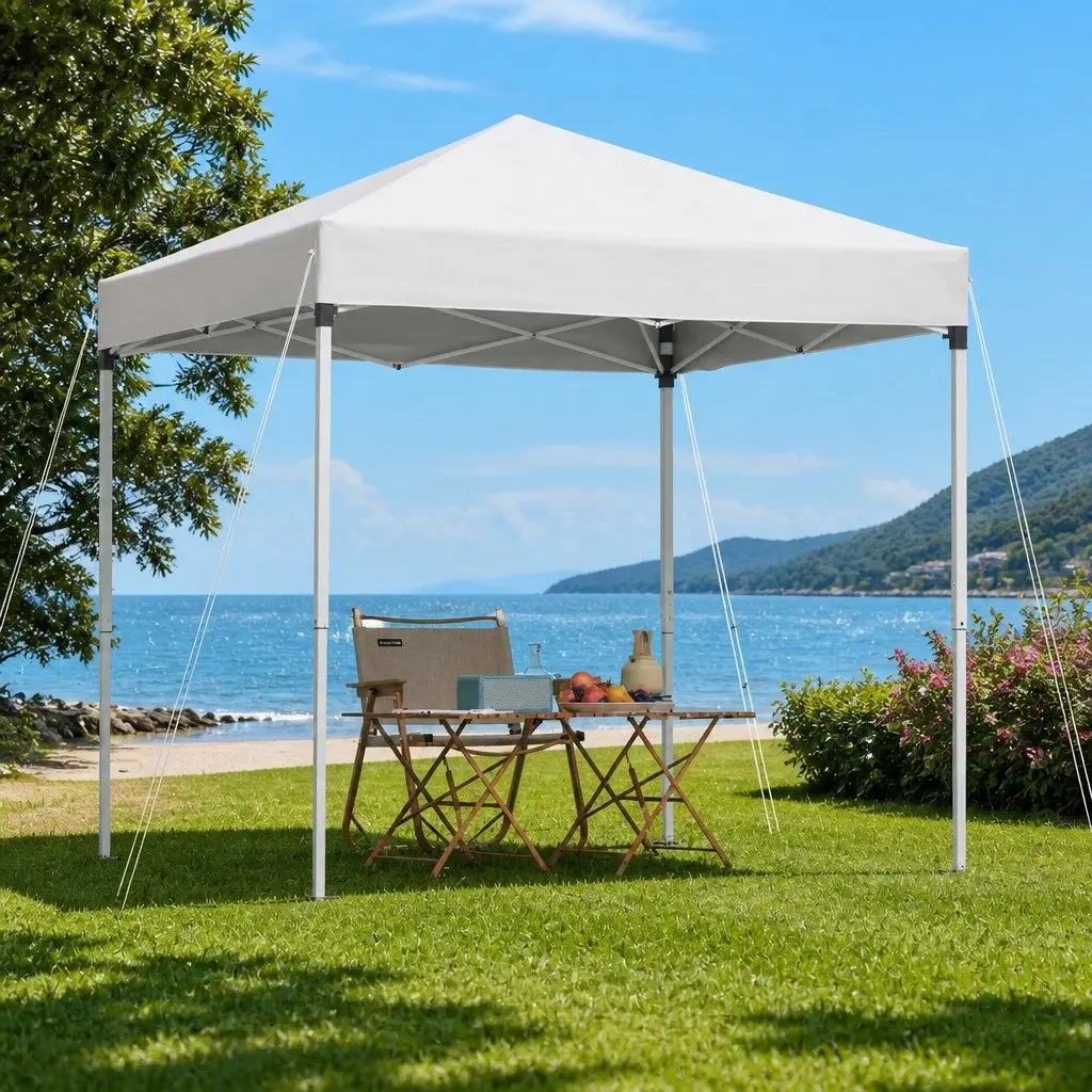 Gazebo Portable Outdoor Shelter 2x2m White Canopy