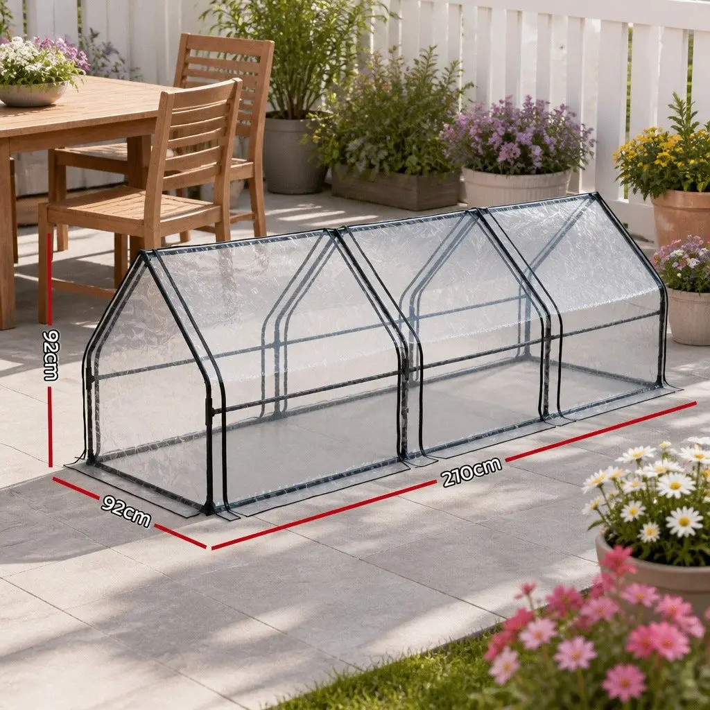 Mini Greenhouse for Year-Round Gardening