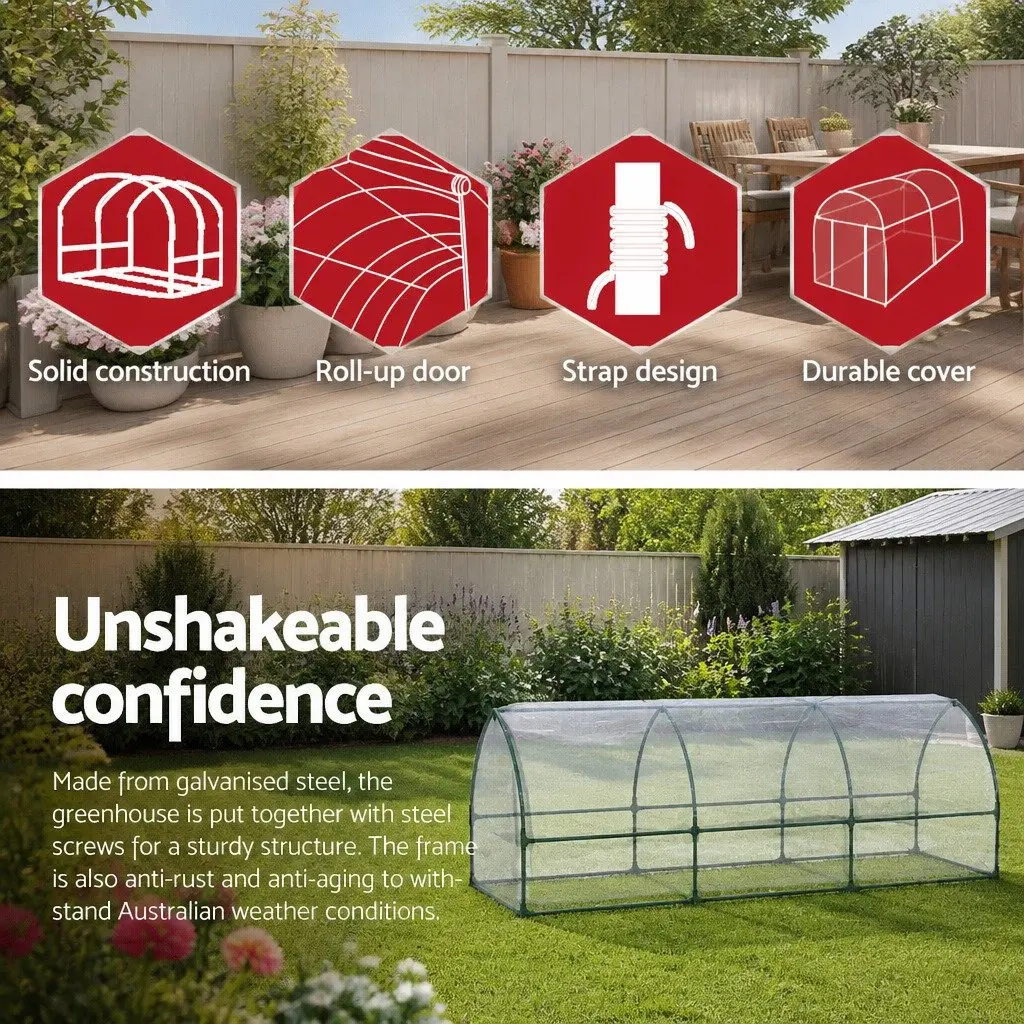 Mini Greenhouse for Year-Round Gardening