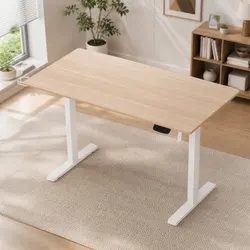 Reliable Electric Sit Stand Desk with Practical Features