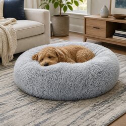 Quality Medium Dog Bed That Offers Great Value