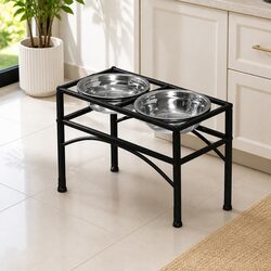 Quality Dual Elevated Feeder: Practical and Stylish
