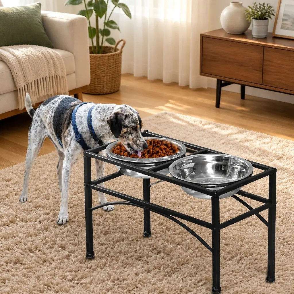 Dual Elevated Raised Pet Dog Feeder Medium 2-in-1 Dish Stainless Steel Bowls Black Iron Base