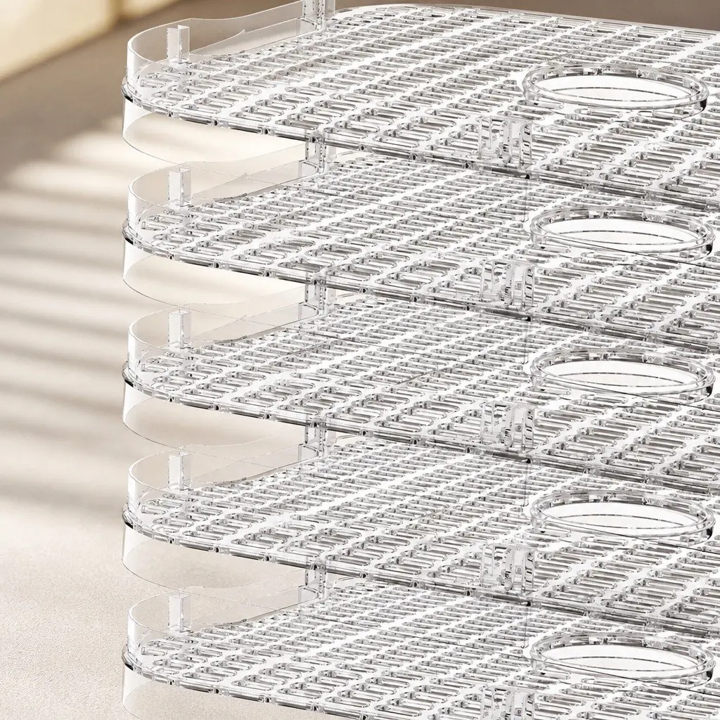 5 Tray Food Dehydrator Digital LED Controls Stainless Steel Black